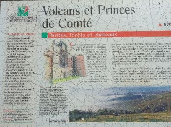 Tour Wandern Sallèdes - La Chaux Montgros - Photo