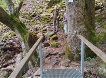 Trail Walking Wattwiller - Wattwiller - Hirtzenstein (26/4/2018) - Photo
