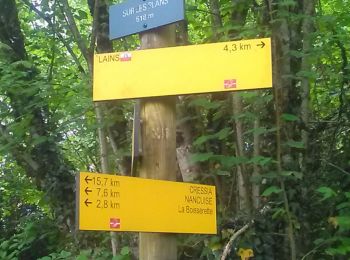 Trail Walking Montlainsia - Lains-Montrevel - Photo
