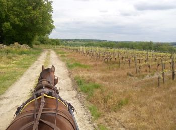 Percorso Cavallo Chatenet - Peuchauvet Coteaux de Sousmoulins - Photo