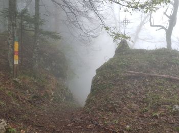 Tocht Stappen Autrans-Méaudre en Vercors - La Ferme de Fessole par le Pas de Pierre Taillée  et le Pas de Montbrand - Photo