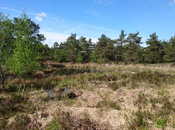 Randonnée Marche Arbonne-la-Forêt - SVG 180502 - Photo