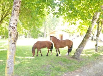 Percorso Cavallo Chatenet - Peuchauvet Bran - Photo