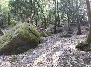 Percorso Camminata nordica La Roche-en-Brenil - la roche en brenil - Photo