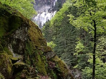 Trail Walking Aulus-les-Bains - Cascade d'Ars et étang de Guset - Boucle  - Photo