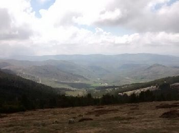 Trail Walking Mont Lozère et Goulet - sommet de Finiels 08-05-18 - Photo