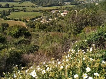 Excursión Otra actividad Hyères - VTT notre dame des Maures valcros  - Photo