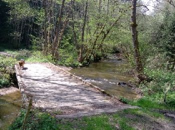 Randonnée Marche Landogne - la Saunade, Landogne. - Photo