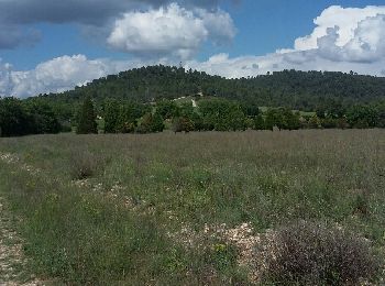 Tocht Stappen Gréoux-les-Bains - Gréoux - Le long du Verdon - Photo