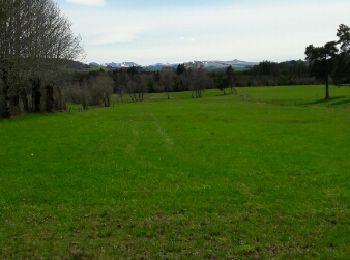 Tour Wandern Gelles -  Etangs de Gelles 10km, 159m - Photo