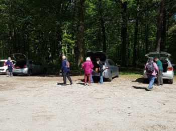 Excursión Senderismo Saint-Léger-en-Yvelines - Etang Rompu 03/05/2018 - Photo