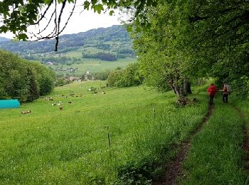 Trail Walking Villard - Reco G3 Pointe de Miribel 15-05 - Photo