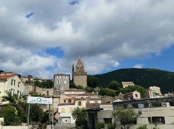 Tour Wandern Nyons - NYONS (Devès) - Photo