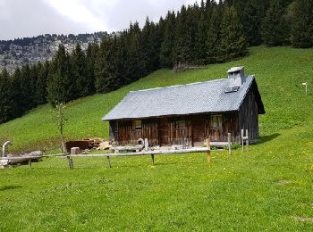 Excursión Senderismo Bellevaux - Reco rando Les Nifflon 17-05 - Photo