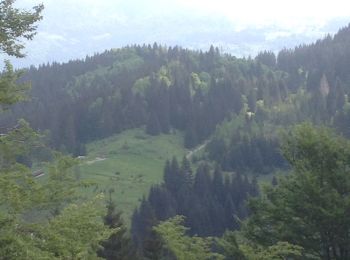 Excursión Bici de montaña Prémanon - La sambine, les charrières, La combe berthod, retour les arcets. - Photo