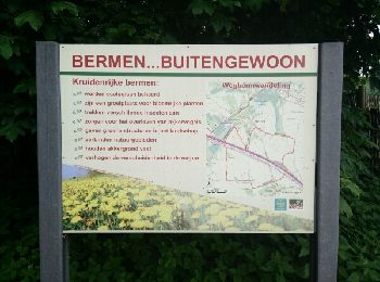 Excursión Senderismo Boutersem - Boutersem - Vertrijk - Photo