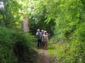 Trail Walking Beaussais-Vitré - Vitré circuit2b mai 2018 - Photo