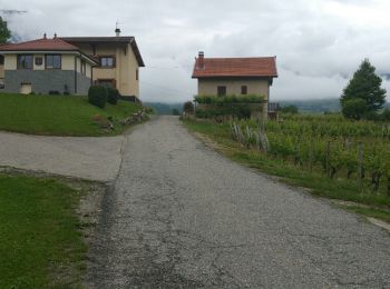 Trail Walking Apremont - 180523 Quatre communes - Photo