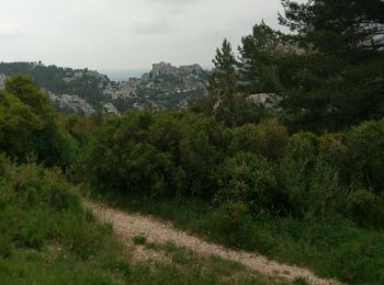 Trail Mountain bike Saint-Étienne-du-Grès - Saint Martin du grès les Baux de Provence - Photo