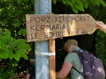 Trail Walking Plouezoc'h - Plouezoc'h - La vallée maritime du Dourduff - Photo