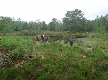 Tocht Stappen Arbonne-la-Forêt - 180528 EnCours - Photo