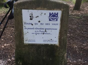 Randonnée Marche nordique Senlisse - Vaux de Cernay - 02 06 2018 - Photo