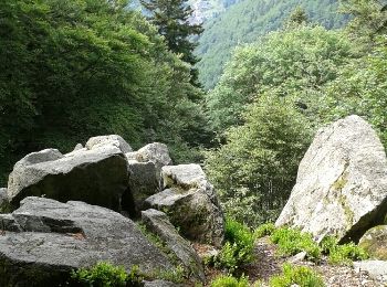 Tour Wandern Wildenstein - le Rothenbackopf depuis le col  du Bramont - Photo