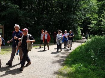 Trail Walking Guyancourt - Sortie Etang de la Geneste 07/06/2018 - Photo