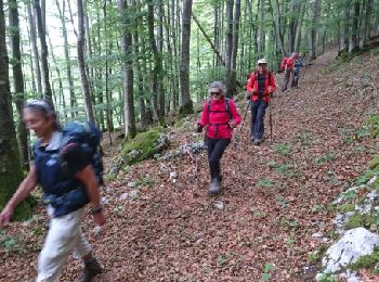 Trail Other activity Foncine-le-Bas - SVG 180617 - Photo