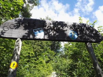 Trail Walking Vuiteboeuf - Gorges de Covatanne - Via Salina - circuit 19.06.18 - Photo