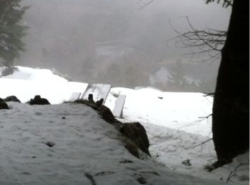 Tour Schneeschuhwandern Storckensohn - Le Gresson - Photo