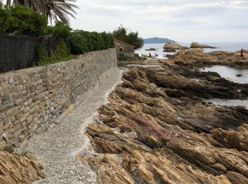 Percorso Altra attività Le Lavandou - Le Lavandou Port et sentier du lito - Photo