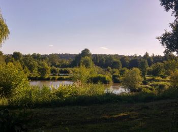 Randonnée Marche Curlu - Autour des étangs de Curlu et Feuillères - Photo