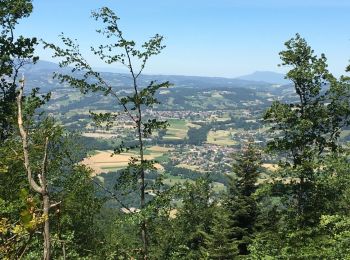 Excursión Senderismo Annecy - Mont Veyrier-Mont Baron - Photo
