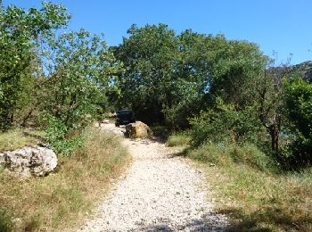 Trail Walking Saint-Remèze - 180625 EnCours - Photo