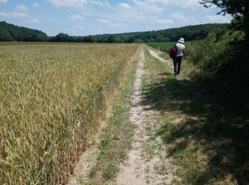 Randonnée Marche Mesnil-en-Ouche - Ajou - Photo