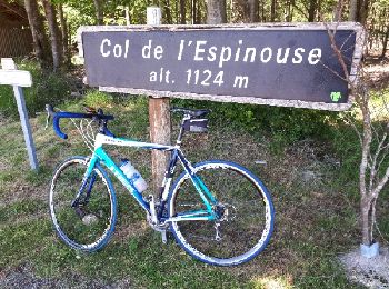 Tour Pferd Nages - massif de l'Espinouse - Photo