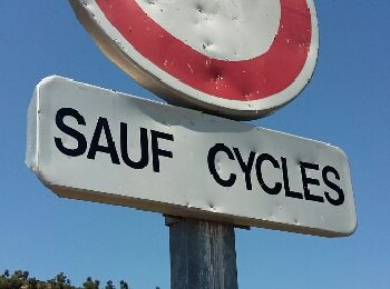 Tocht Mountainbike Saint-Raphaël - Peïre Sarade au Mont Vinaigre - Photo