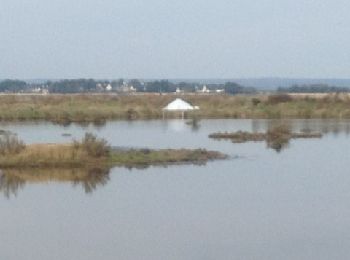 Tocht Stappen Saint-Armel - Marais salants St Armel - Photo