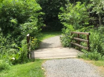 Trail Walking Rennes - 03.07.2018 - BEAUREGARD à Gayeulles - Photo