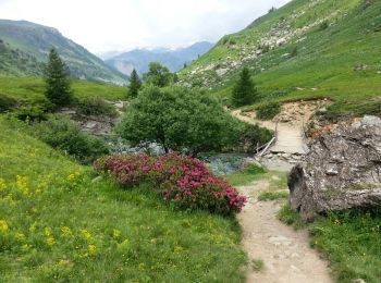 Excursión Senderismo Orcières - Champsaur - Prapic Saut de Laïre - 11.6km 420m 3h35 - 2018 06 24 - public - Photo