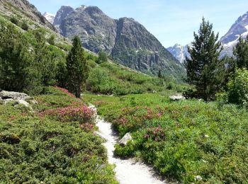 Tour Wandern Saint-Christophe-en-Oisans - Oisans - La Bérarde Chatelleret - 11km 400m 3h25 - 2018 06 22 - public - Photo