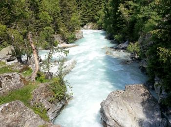 Excursión Senderismo Saint-Christophe-en-Oisans - Oisans - Champhorent - 5.3km 210m 1h40 - 2018 06 17 - public - Photo