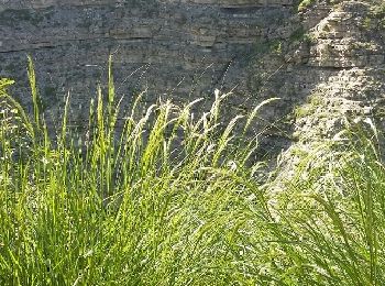 Tocht Stappen Beauvezer - Gorges de Saint Pierre - Photo