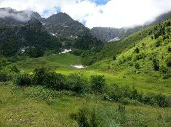 Trail Walking Saint-Maurice-en-Valgodemard - Valgaudemar - l'Ubac Vallon de Prentiq - 14.9km 810m 5h15 - 2018 07 06 - public - Photo