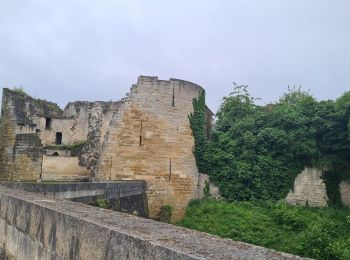 Percorso Mountainbike Sinceny - parcours vtt rond d'Orléans  - Photo