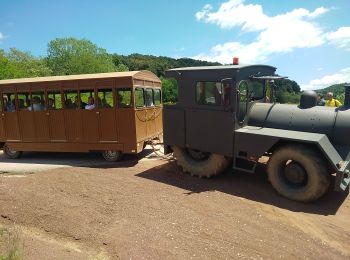 Trail Walking Olot - Les volcans de la GARROTXES (Espagne) (30/05/2019) - Photo