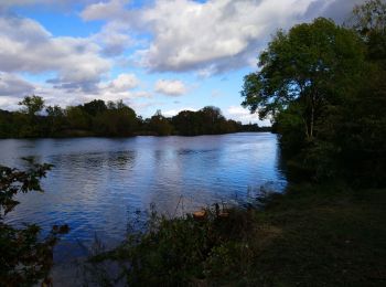 Tour Wandern Faverolles-sur-Cher - Faverolles-sur-Cher l'Audronnière - les Raimbaudières le Port le Cher - 6.4km 50m 1h35 - 2020 10 04 - Photo