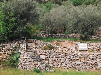 Percorso A piedi Saint-Guilhem-le-Désert - PR Notre-Dame-du-Lieu-Plaisant - Photo