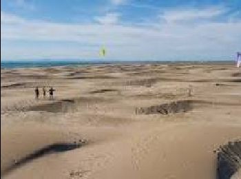 Excursión Senderismo Le Grau-du-Roi - De l'Espiguette au Bois des Baronnets - Photo